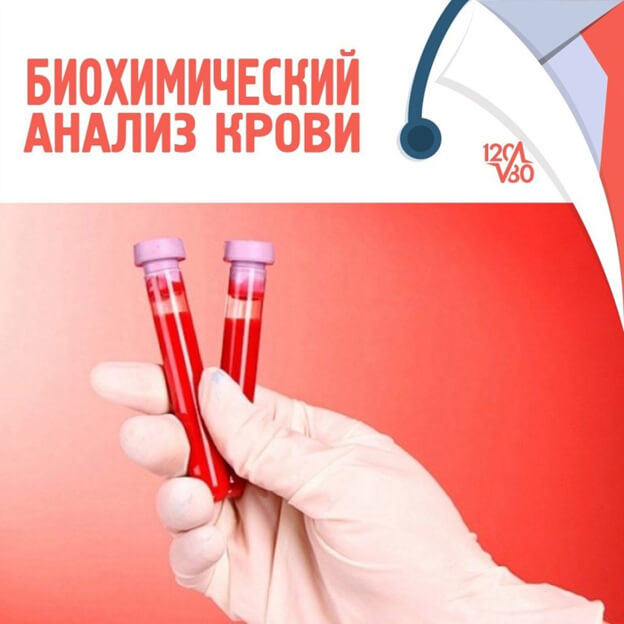 Купить справку с результатами биохимического анализа крови в СПб